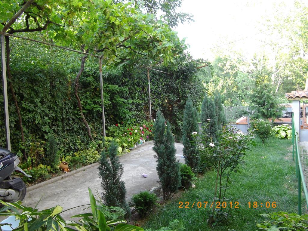 Sakutski House Chisaria Zewnętrze zdjęcie