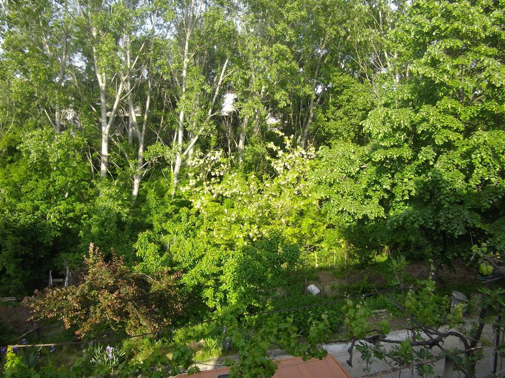 Sakutski House Chisaria Zewnętrze zdjęcie